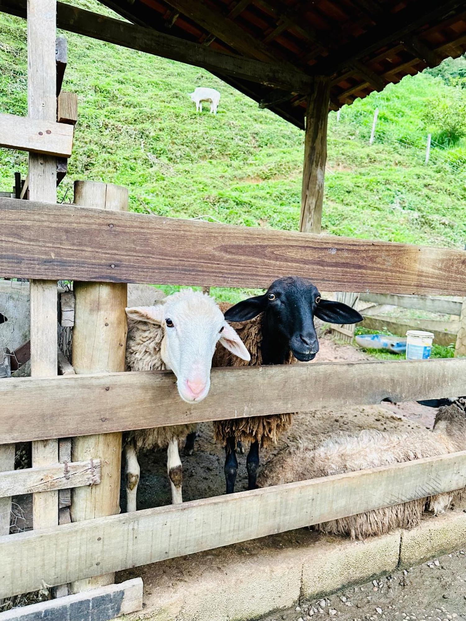 Pousada Aldeias Do Paraiso Monteiro Lobato Zewnętrze zdjęcie