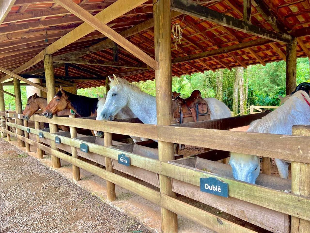 Pousada Aldeias Do Paraiso Monteiro Lobato Zewnętrze zdjęcie